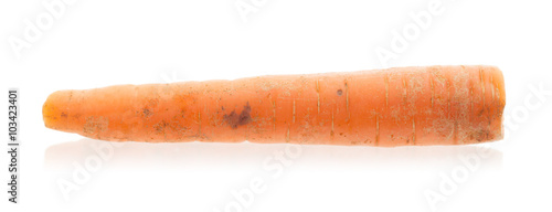 Fresh carrot isolated