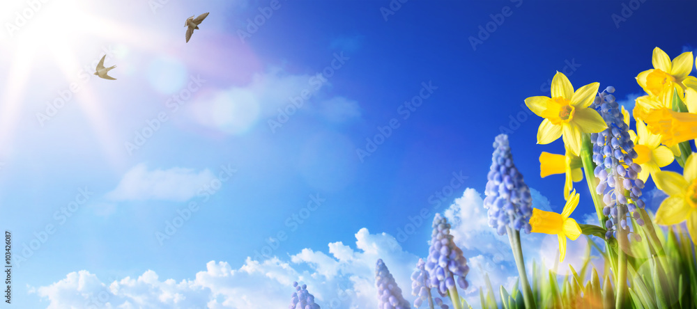 art Easter background with fresh spring flowers art Easter background with fresh spring flowers