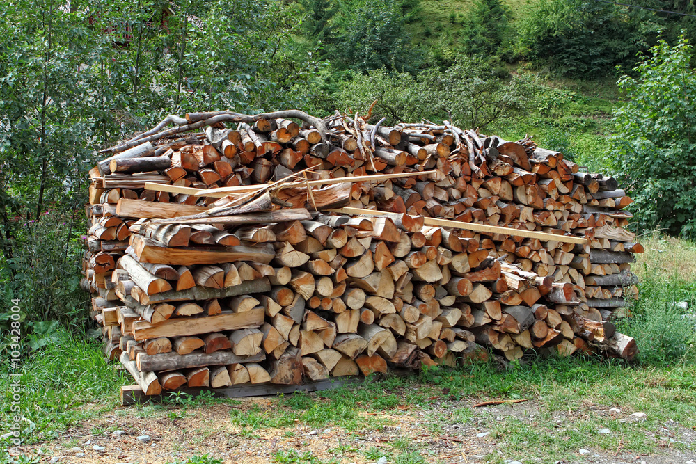 stack of firewood stacked for drying in the woodpile on the green meadow stack of firewood stacked for drying in the woodpile on the green meadow