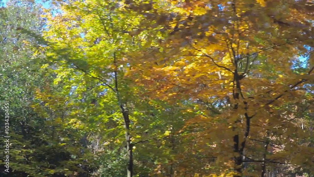 Autumn Driving - Beautiful Autumn Country Road Autumn Driving - Beautiful Autumn Country Road