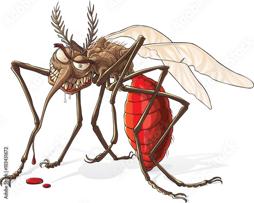 Mosquito

Mosquito, engorged blood.
