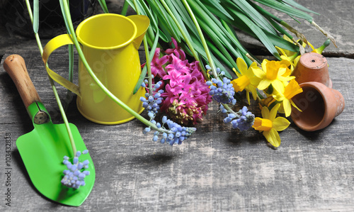 fleurs printanières et outils de jardinage aux couleurs vives sur fond bois