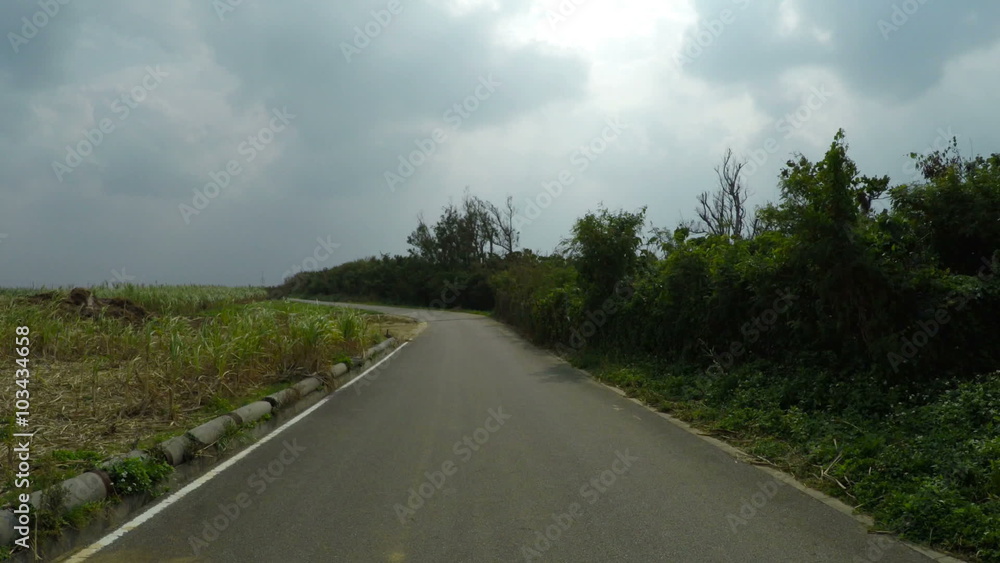 Driver POV through the sugar cane fields in Okinawa. Driver POV through the sugar cane fields in Okinawa.