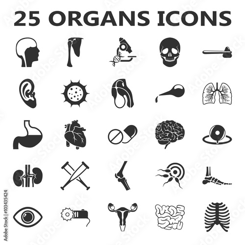 Organs set 25 black simple icons. Body, anatomy, medical icon design for web and mobile.