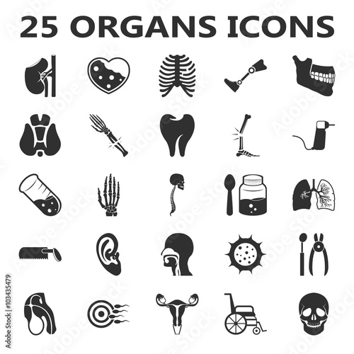 Organs set 25 black simple icons. Body, anatomy, medical icon design for web and mobile.