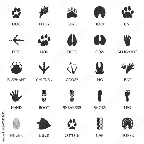 Animal tracks set 25 black simple icons. Animal, car, human print icon design for web and mobile.