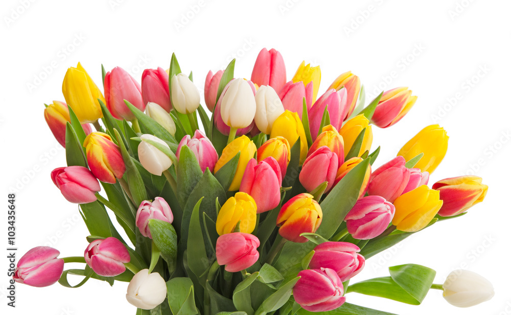 Bunter Tulpenstrauß Bunter Tulpenstrauß