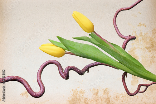 Nostalgischer Hintergrund mit knorrigen Zweigen und Tulpen