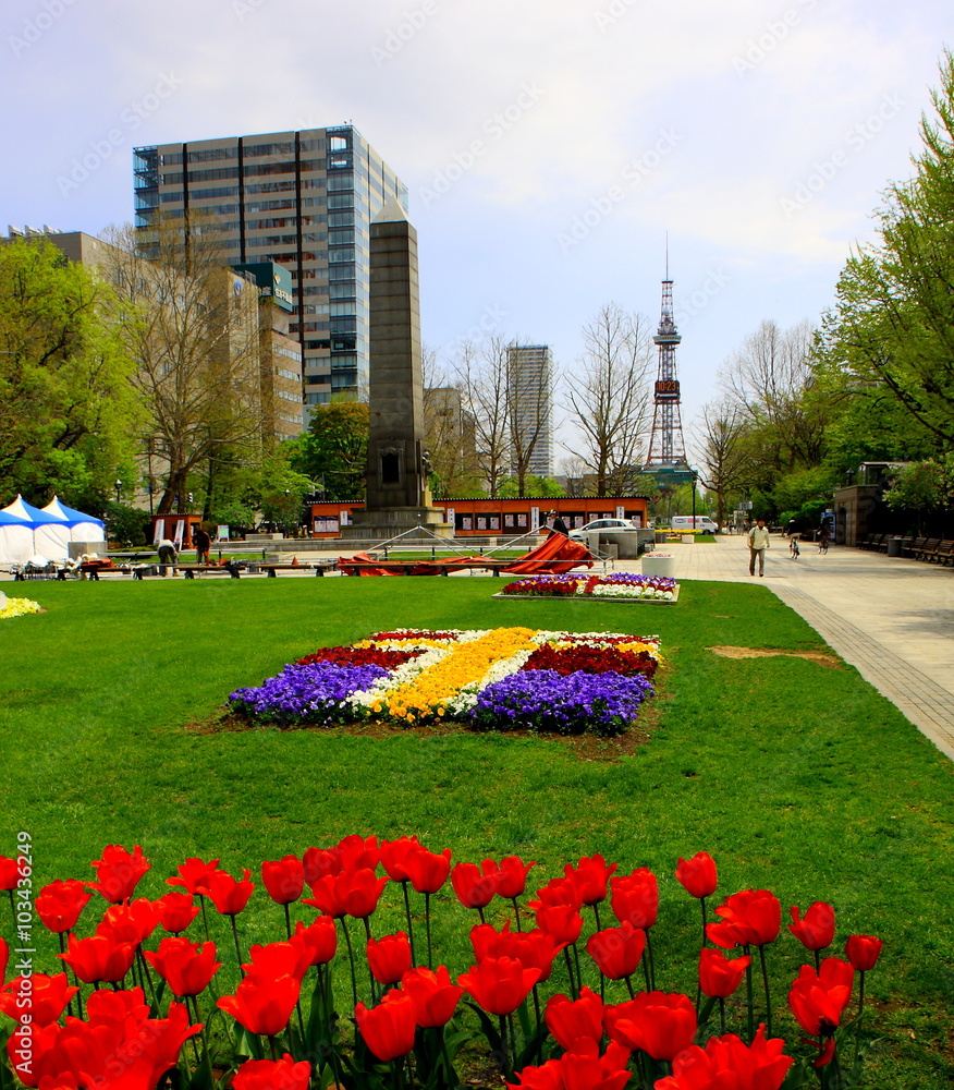 春の札幌大通公園
