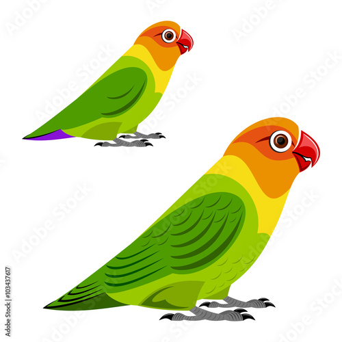 Parrot