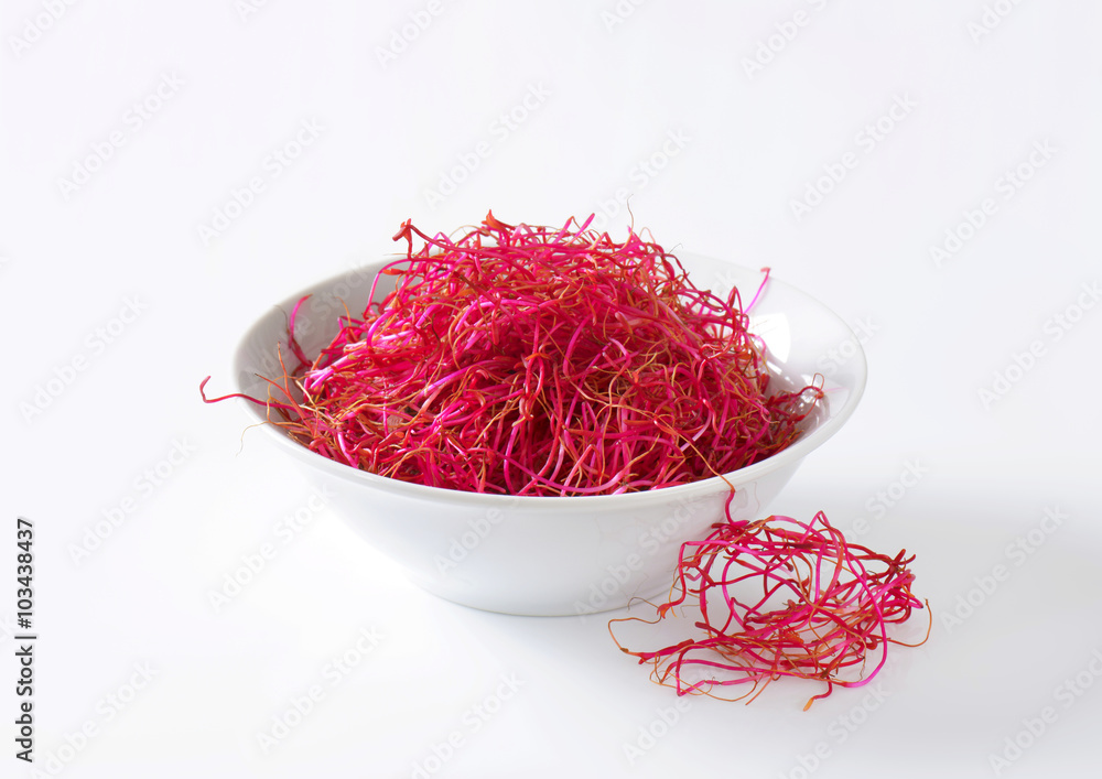 Fototapeta premium Beetroot sprouts