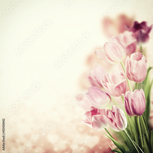 Fototapeta Naklejka Na Ścianę i Meble -  Lovely flowers