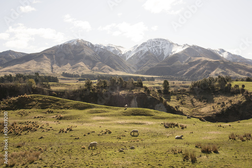 Colinas y montañas verdes con ovejas de la Isla Sur de Nueva Zelanda