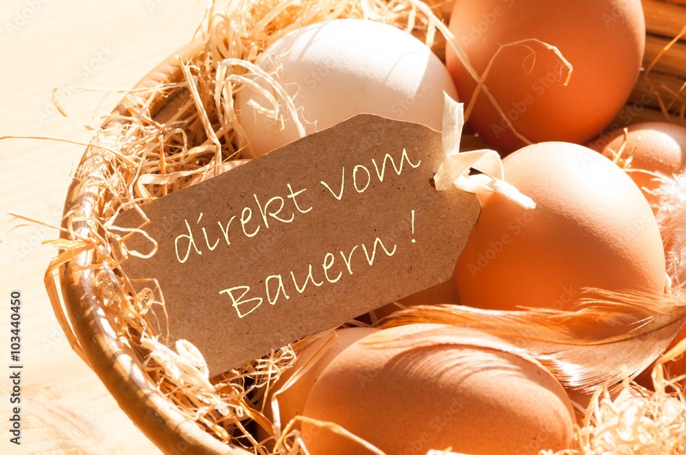 Eier direkt vom Bauern Stock-Foto | Adobe Stock