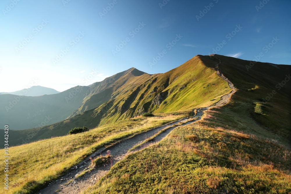 Fototapeta premium Trail leading to the summit in the Tatra Mountains, Poland