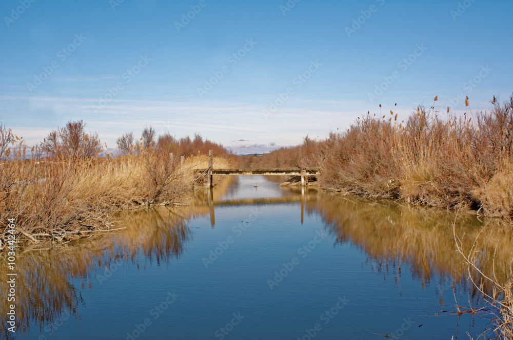 pont en bois sur l'étang de l'or dans l'hérault