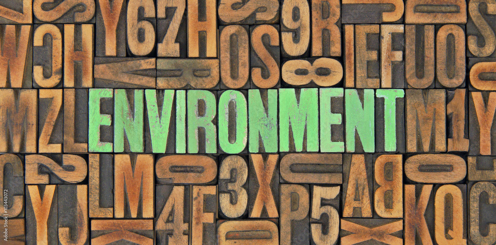 Environment / caracteres d'imprimerie en bois Environment / caracteres d'imprimerie en bois