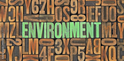 Environment / caracteres d'imprimerie en bois 