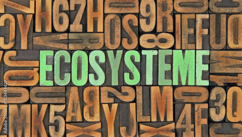 Ecosystème / caracteres d'imprimerie en bois Ecosystème / caracteres d'imprimerie en bois