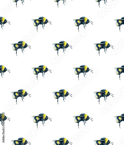Bumblebee on a white background. Watercolor drawing. Insects art. Handwork. Seamless pattern © MargaritaSh