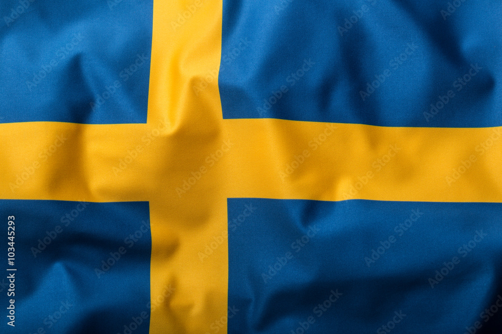 Flags of the Sweden and the European Union. Sweden Flag and EU Flag. World flag money concept. Flags of the Sweden and the European Union. Sweden Flag and EU Flag. World flag money concept.