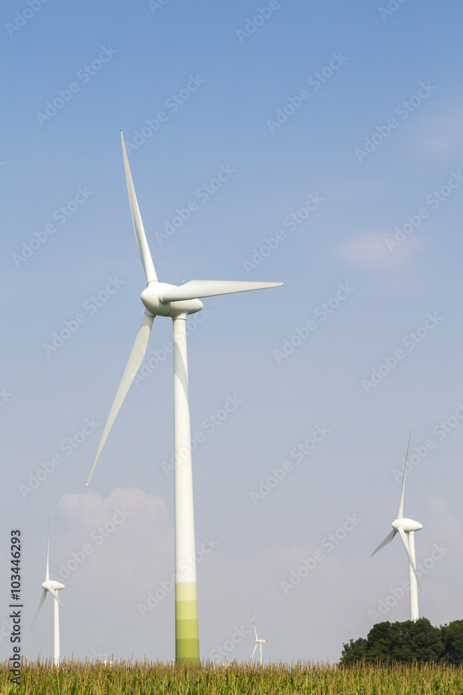 wind wheels on blue sky with cornfield wind wheels on blue sky with cornfield