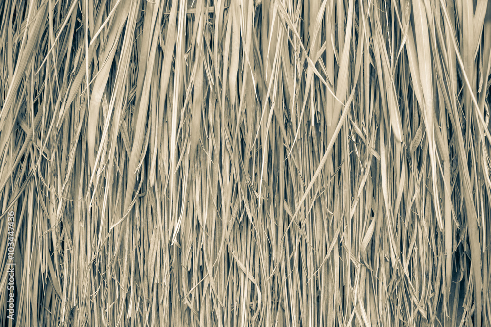 Close up straw background. Texture of straw Close up straw background. Texture of straw