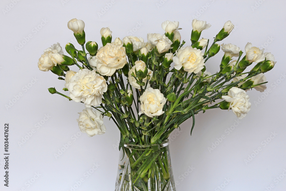 carnations in a vase