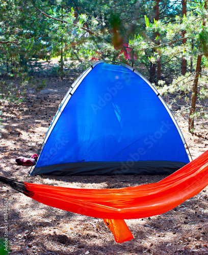 Campsite in the forest