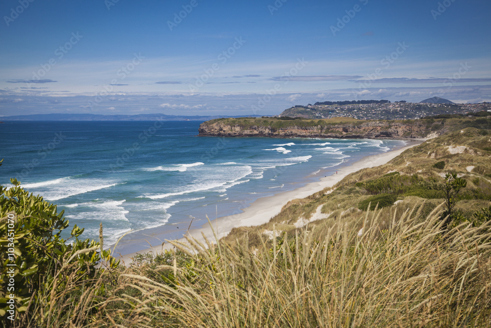 Landschaft rund um Dunedin Otago