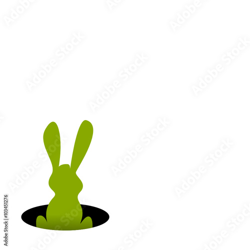 Hase