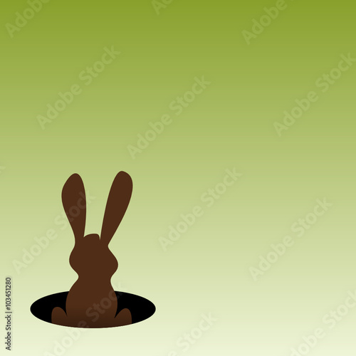 Hase