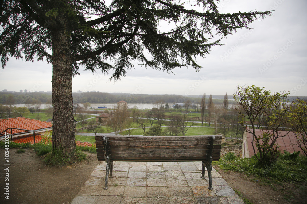 One old bench with view on city and Evergreen tree