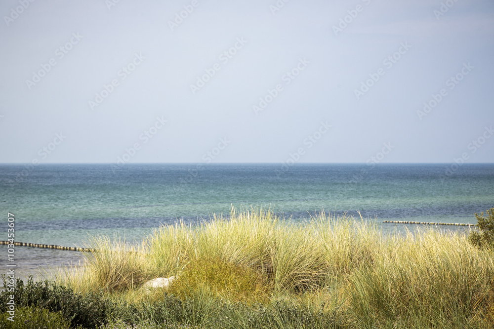 ocean landscape with dune and marram grass
