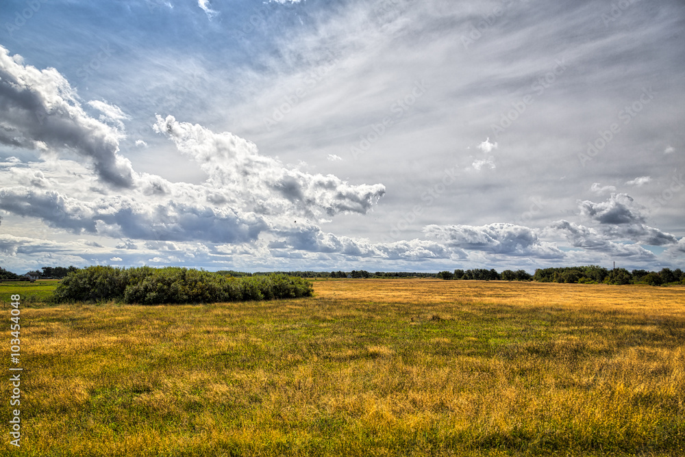 HDR shot of Hiddensee heath with cloudscape