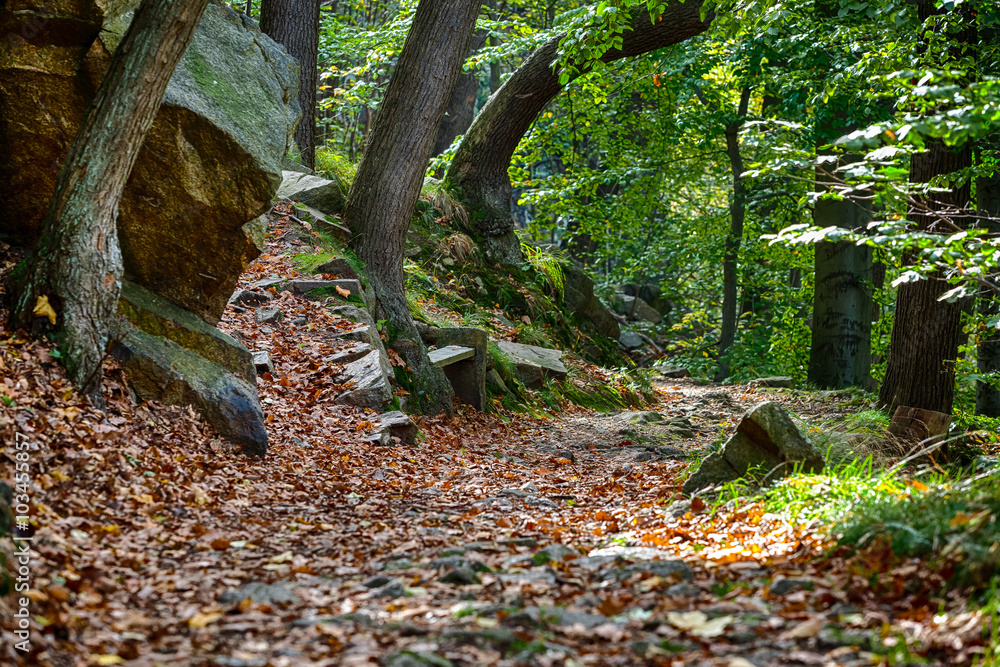 Wanderweg Bodetal im Herbst Harz