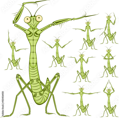 Cartoon character Mantis.