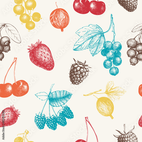 Pastel pattern with hand drawn vintage wild and garden berries. Vintage fruit and berry seamless background