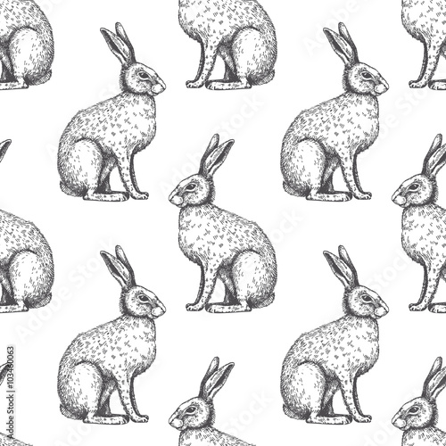 Vector background with hare sketch.
