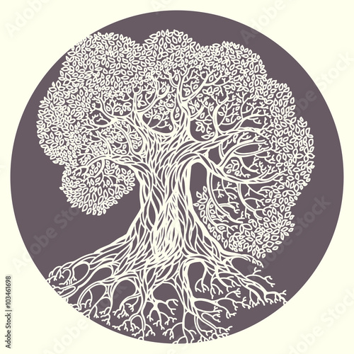 Oak tree illustration. Stylized vector isolated