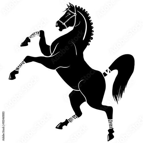 black horse silhouette 