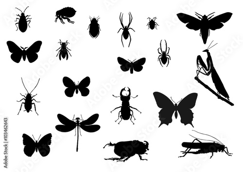 Insekten © Thomas Leonhardy