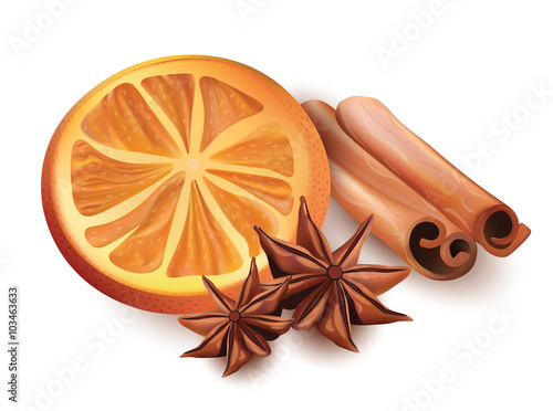 Vector Illustration of Orange Slice, Cinnamon Sticks and Star Anice Isolated on White Background.