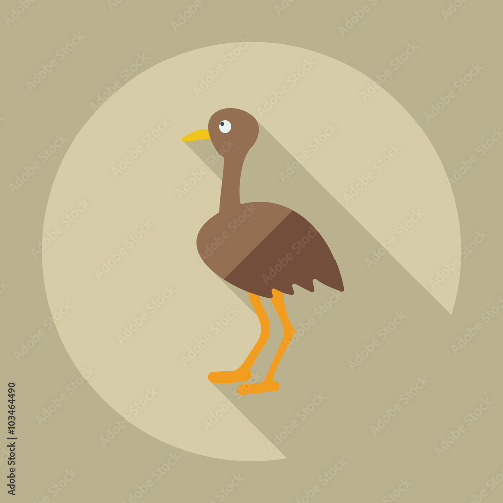 Flat modern design with shadow icons ostrich Flat modern design with shadow icons ostrich