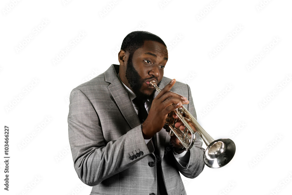 Fototapeta premium Professional musician on stage.