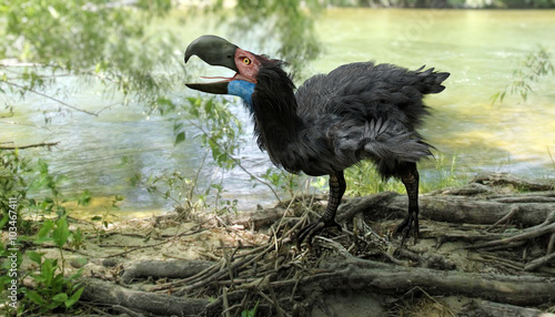 Gastornis By River (Terror Bird) - An illustration of Gastornis (Terror Bird) on a river's edge. Gastornis are an extinct genus of large flightless birds photo