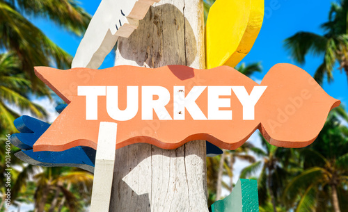 Turkey welcome sign with palm trees photo