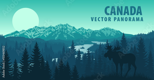 vector panorama of Canada with forest and Moose photo