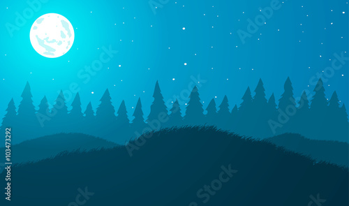 Vector illustration. Meadows and trees at night