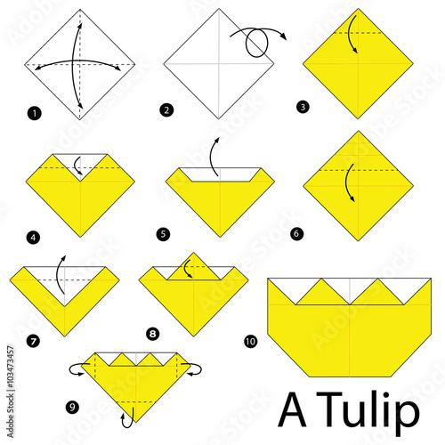 step by step instructions how to make origami A Tulip.